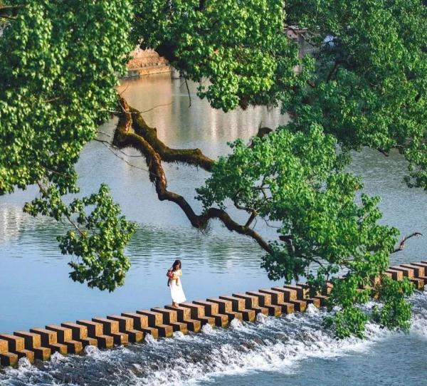 惊艳全网的《碇步桥》，背后的故事更美！