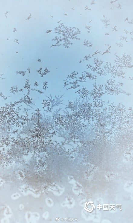 冬季限定！北京今晨天寒地冻 冰窗花悄然绽放