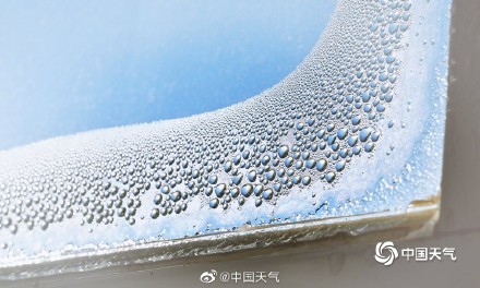 冬季限定！北京今晨天寒地冻 冰窗花悄然绽放