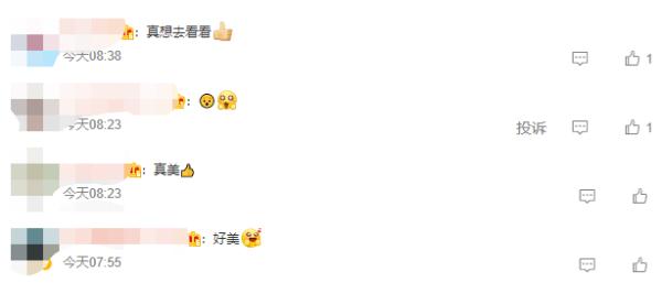 云南又火了，上亿人围观！