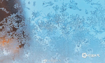 冬季限定！北京今晨天寒地冻 冰窗花悄然绽放