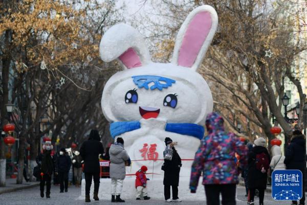 镜头里的中国年：兔年拍“兔”