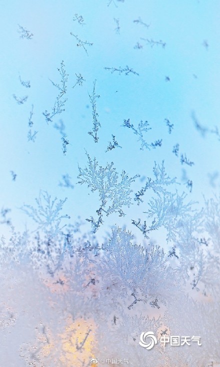 冬季限定！北京今晨天寒地冻 冰窗花悄然绽放