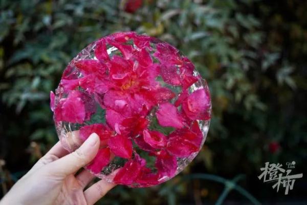 刚刚，西湖结冰了！零下10℃，杭州可能刷新记录！