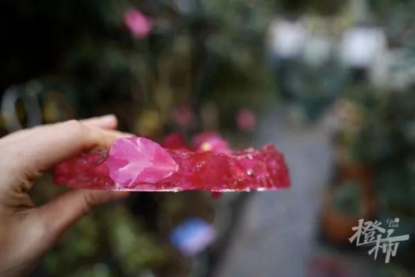 刚刚，西湖结冰了！零下10℃，杭州可能刷新记录！