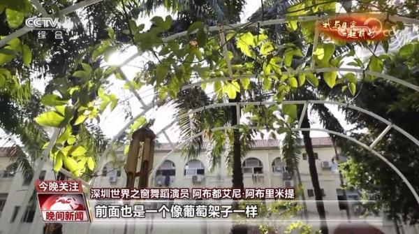 【我与国家一起前行】共建美丽花园 共享花样生活