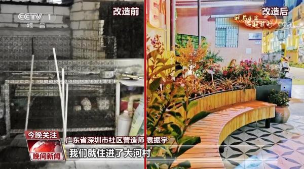 【我与国家一起前行】共建美丽花园 共享花样生活