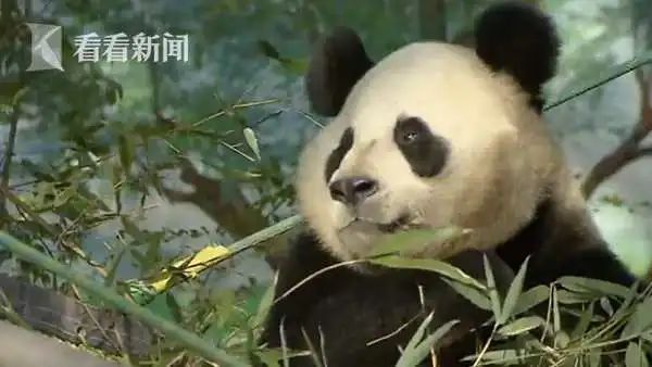 上海今天最低温零下近9度 后面还有冷空气要来！此地破中国最低温历史极值！