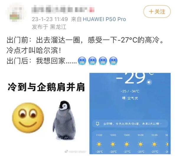 -53℃！黑龙江一女子回娘家发现单元门冻成“冰窖”