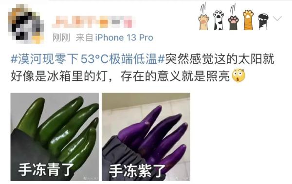 -53℃！黑龙江一女子回娘家发现单元门冻成“冰窖”