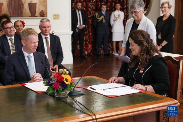 希普金斯宣誓就任新西兰总理