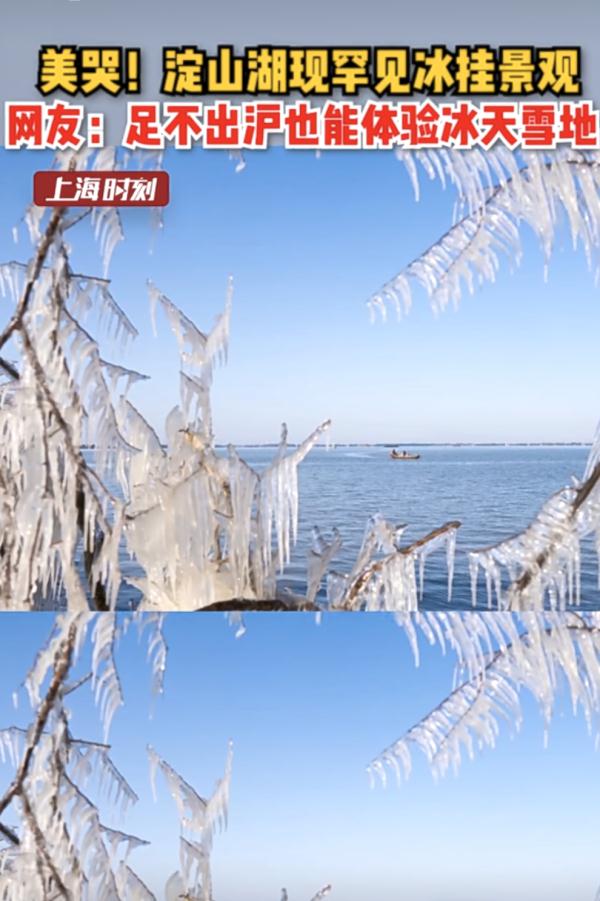 今冬最冷一天，申城罕见景观美翻了！月底还有两波…