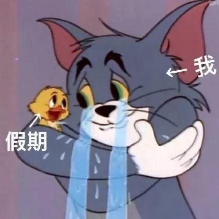 准备好了吗？明天起连续7天上班！附赠冷空气返场