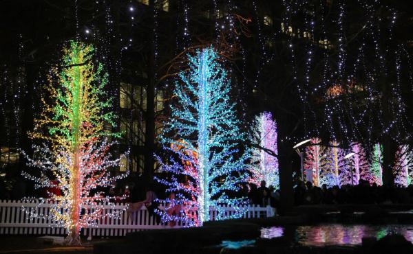 伦敦金丝雀码头举行冬日灯光秀 伦敦金丝雀码头举行冬日灯光秀