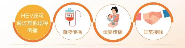 全球三分之一的人感染过!被忽视的“戊肝”该如何防治? 全球三分之一的人感染过!被忽视的“戊肝”该如何防治?