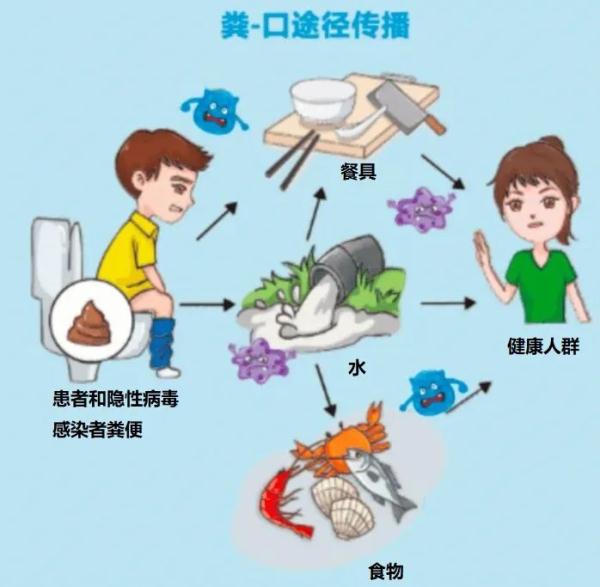全球三分之一的人感染过!被忽视的“戊肝”该如何防治? 全球三分之一的人感染过!被忽视的“戊肝”该如何防治?