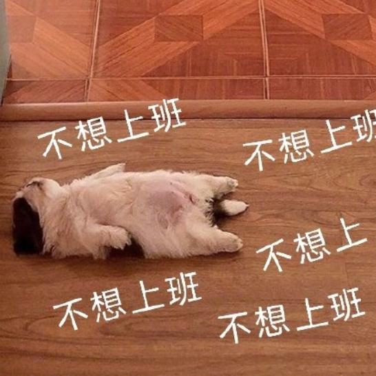 上海323亿比返程还心堵的是今年要多上19天班