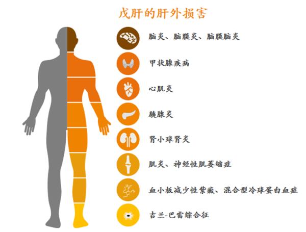 全球三分之一的人感染过!被忽视的“戊肝”该如何防治? 全球三分之一的人感染过!被忽视的“戊肝”该如何防治?
