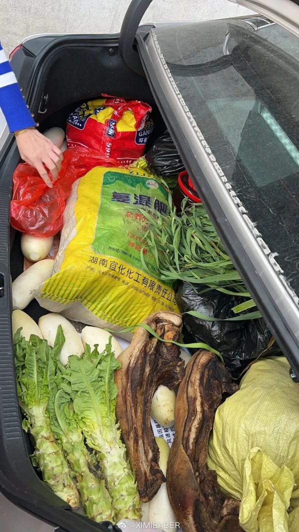 这年…又过完了…“全国统一的离家仪式”刷屏！