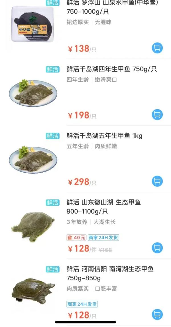 200年的甲鱼？开价2万8，专家一看，不得了！