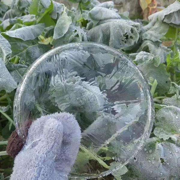 今晨2.9℃刷新低温纪录!广州下“雪”了?为何还不算入冬? 今晨2.9℃刷新低温纪录!广州下“雪”了?为何还不算入冬?