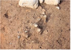 韩国宣布出土20枚中国宋代钱币：画面曝光 或被指定为文物