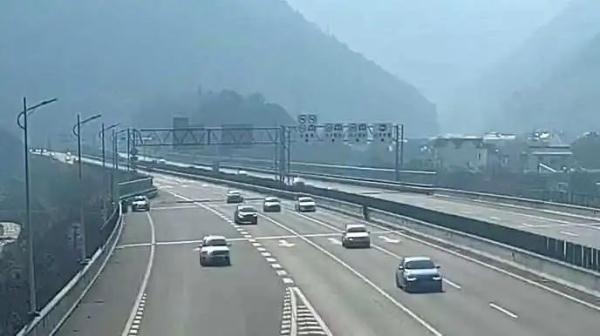 20秒,救下三条人命! 20秒,救下三条人命!