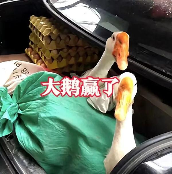 “硬核”！来看看他们的后备箱里都有啥？