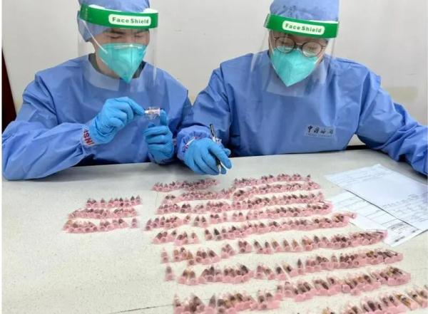 来自境外的“纪念品”在蠕动?盘点上海海关拆过的“盲盒”,密恐慎入! 来自境外的“纪念品”在蠕动?盘点上海海关拆过的“盲盒”,密恐慎入!