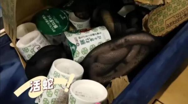 来自境外的“纪念品”在蠕动?盘点上海海关拆过的“盲盒”,密恐慎入! 来自境外的“纪念品”在蠕动?盘点上海海关拆过的“盲盒”,密恐慎入!