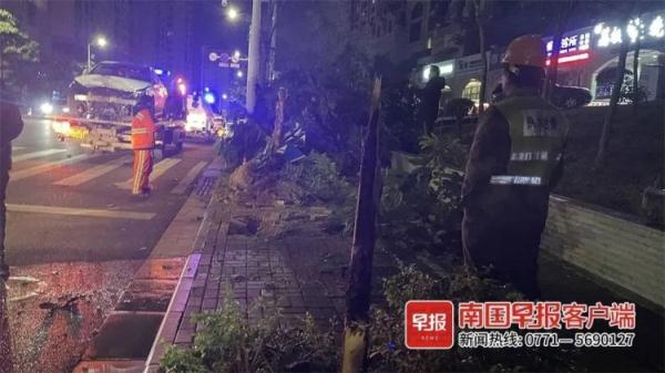 南宁一奔驰车失控冲上人行道，“挂”在树上！肇事司机涉嫌逃逸