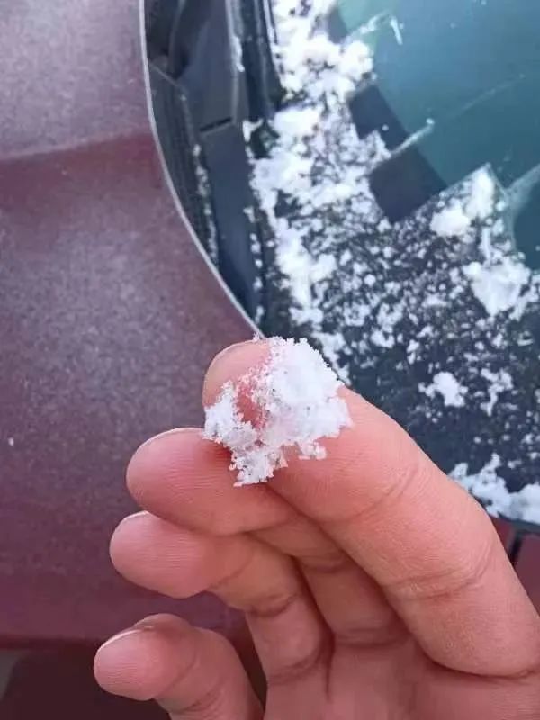 今晨2.9℃刷新低温纪录!广州下“雪”了?为何还不算入冬? 今晨2.9℃刷新低温纪录!广州下“雪”了?为何还不算入冬?