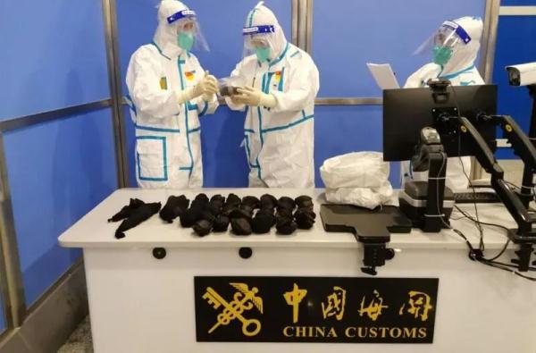 来自境外的“纪念品”在蠕动?盘点上海海关拆过的“盲盒”,密恐慎入! 来自境外的“纪念品”在蠕动?盘点上海海关拆过的“盲盒”,密恐慎入!