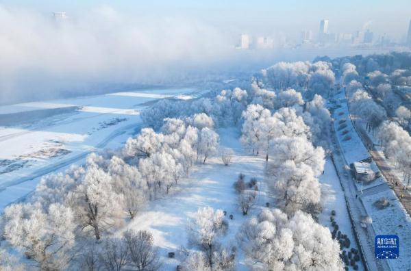 松花江畔现雾凇美景