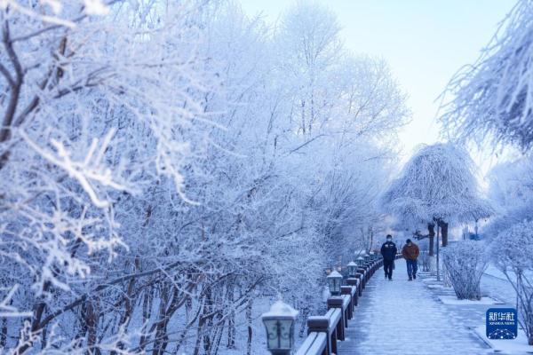 松花江畔现雾凇美景