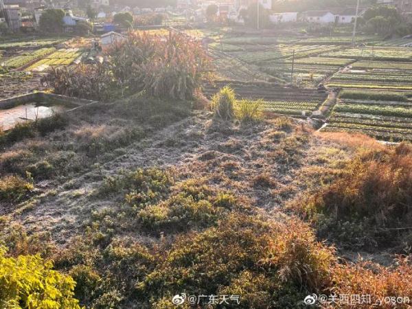菜地结霜、车顶写字......广东下“雪”了？！