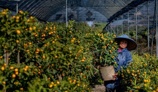 广东人每年春节后常头疼的问题，解决办法有了→