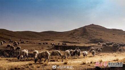 乌鞘岭古长城冬日掠影