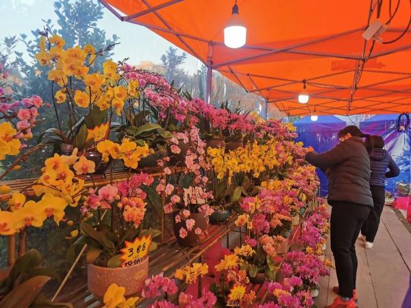 广东人每年春节后常头疼的问题，解决办法有了→