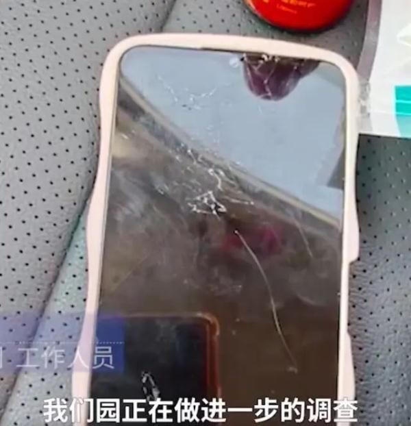 动物园猩猩扔水瓶砸伤游客，园方：猩猩是正当防卫