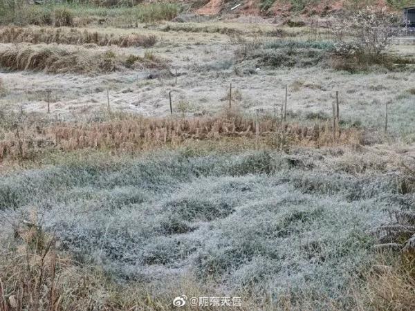 菜地结霜、车顶写字......广东下“雪”了？！