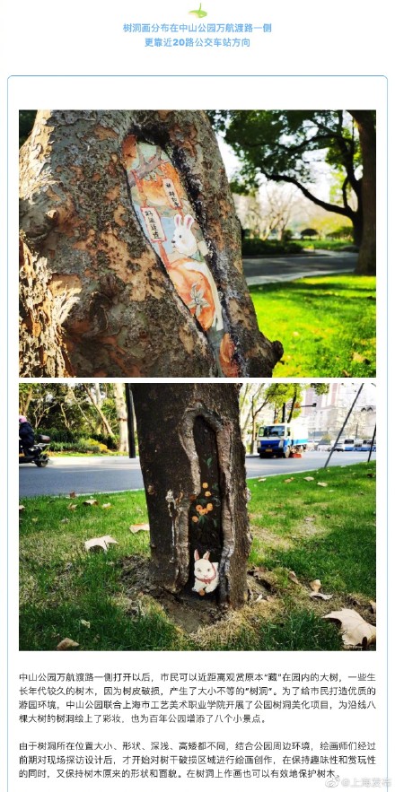 中山公园新添8个“树洞画”，你发现了吗？
