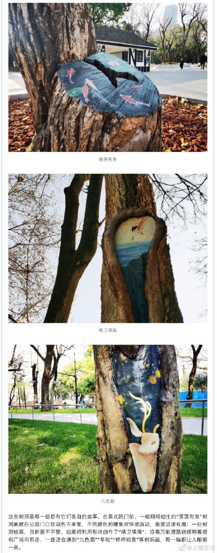 中山公园新添8个“树洞画”，你发现了吗？