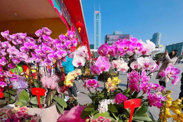 广东人每年春节后常头疼的问题，解决办法有了→