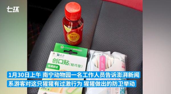 猩猩扔矿泉水瓶砸伤游客，网友却力挺？！动物园回应……