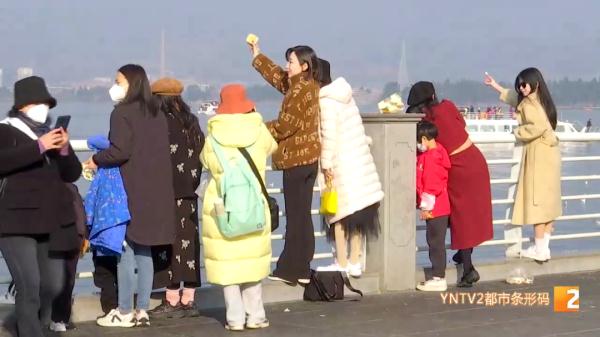喂海鸥太投入，手机、鞋子等物品都掉滇池里！这群人好忙