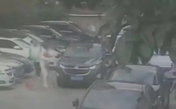 热心助人却令爱犬死于非命！损失谁来承担？调解结果→