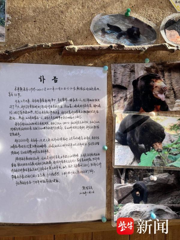 马来熊爷爷“老马”离世，南京红山动物园手写讣告感动众人