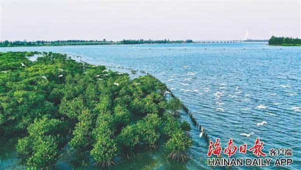 2022年海南PM2.5浓度再创历史新低！