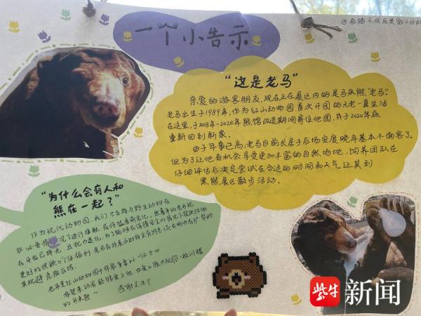 马来熊爷爷“老马”离世，南京红山动物园手写讣告感动众人